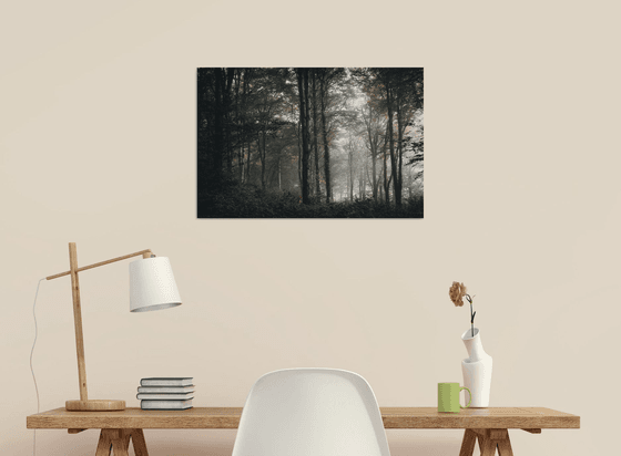 The first signs of Autumn