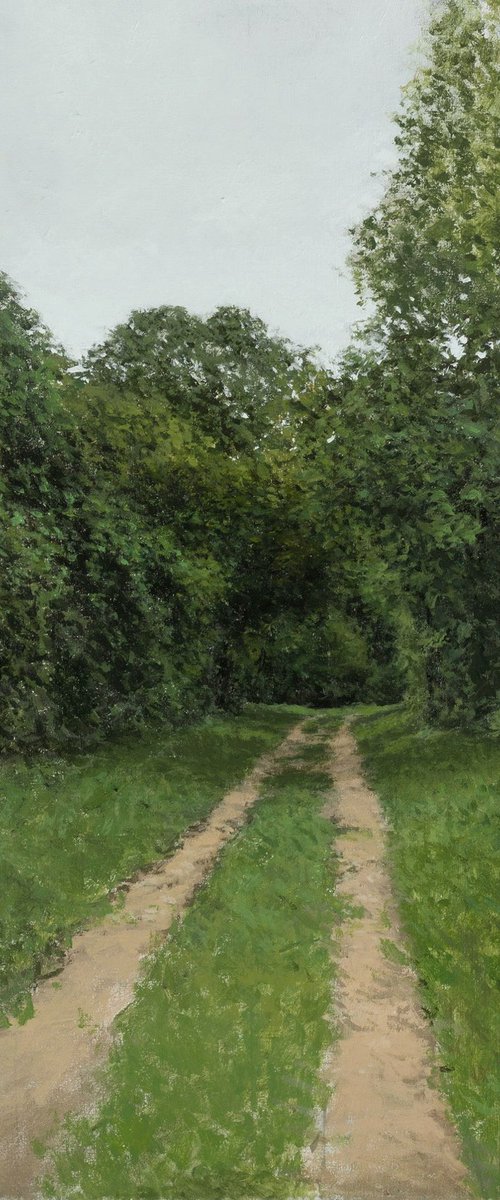 Path 1 by Marius Roos