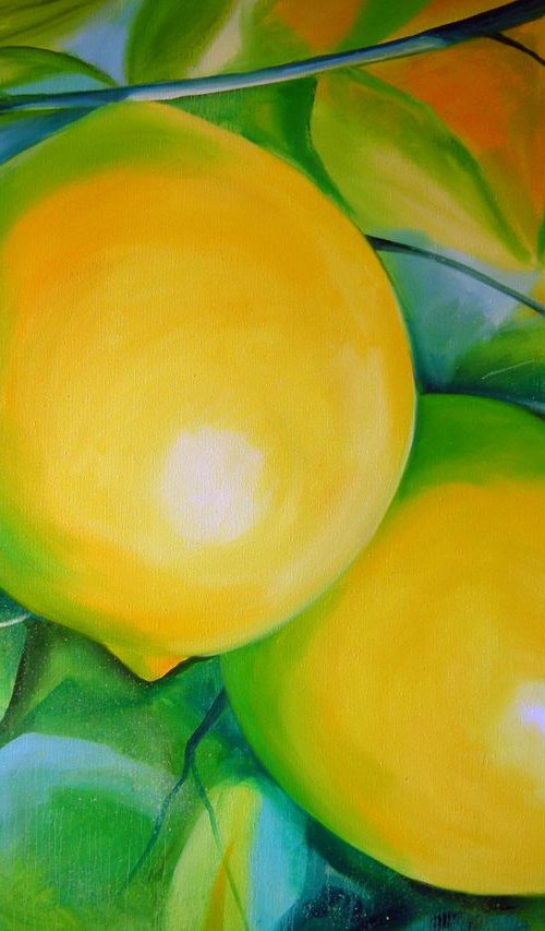 Lemons by Olha Darchuk