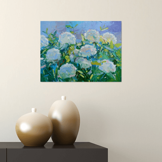 "  Hydrangea "