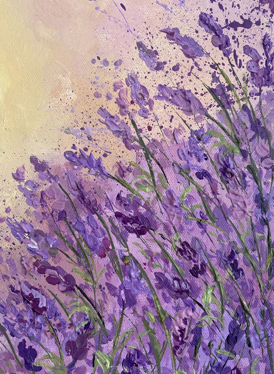 Lavender Dream 2