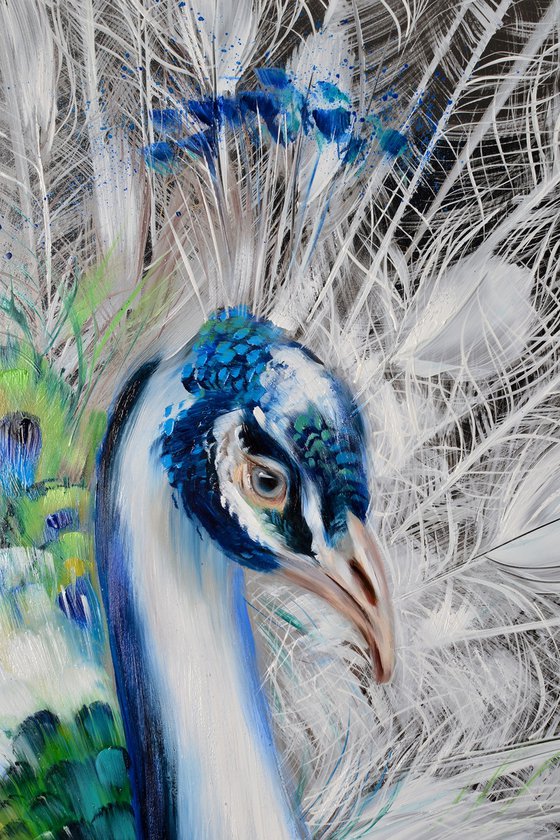 ROYAL PEACOCK