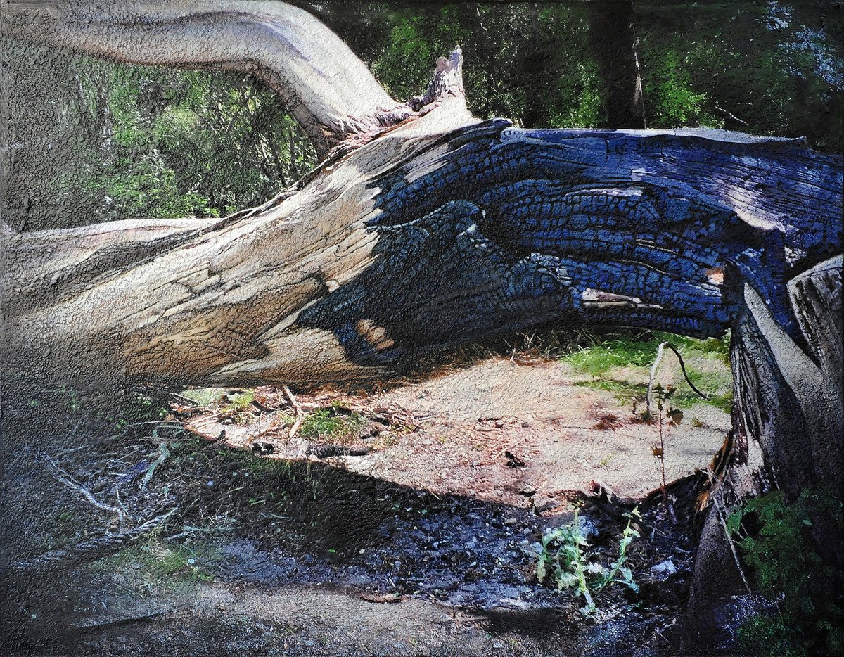 Photorealistic Landscape Painting By Karin Vermeer, 71 X 55", Charredtreebrienenoordisland, Original Artwork