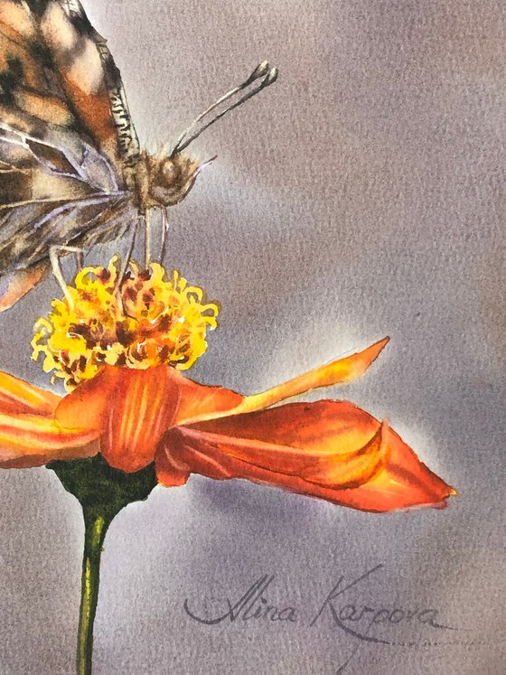 Butterfly on flower