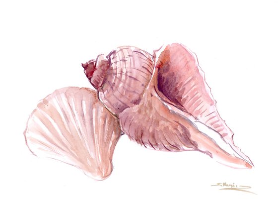 Seashell