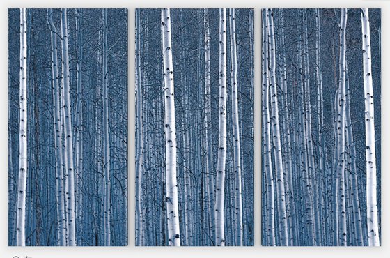Aspen Blues Gallery Wrapped Canvas Triptych