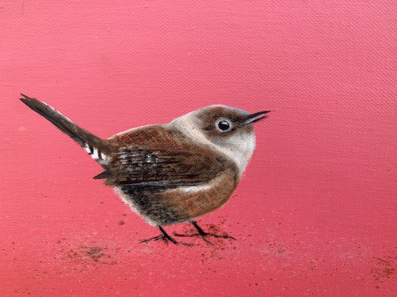 Wren on Rose Gold