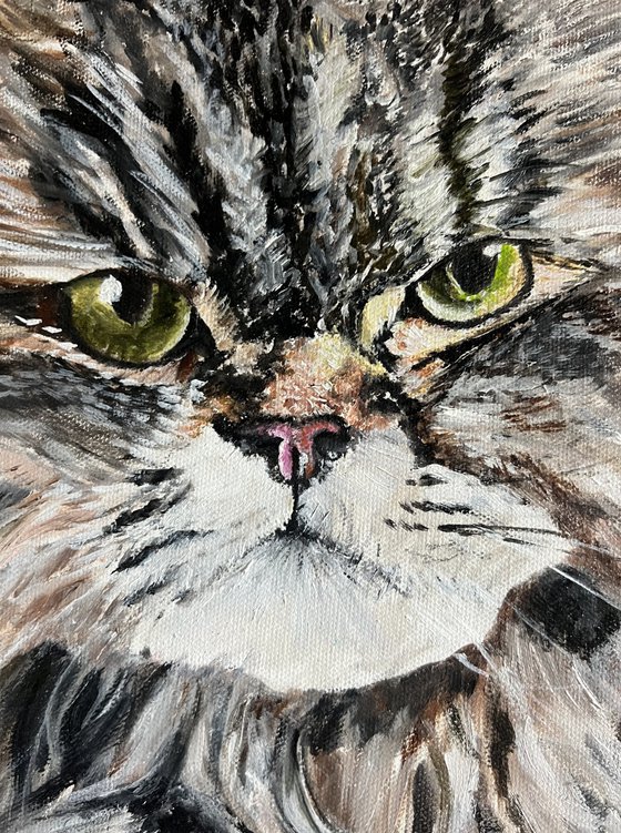 Cat