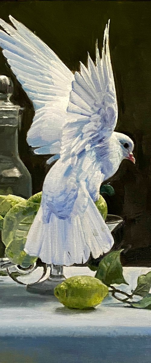 Pigeon and Still Life by Paul Cheng