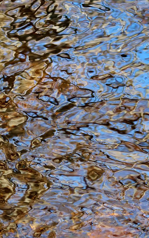 Water Puzzle by David DesRochers