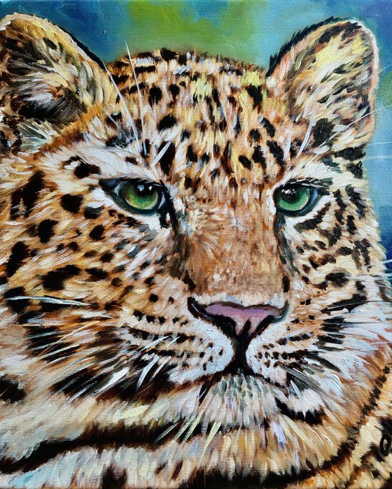 Leopard . Big cat . Feline beauty.