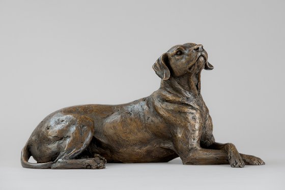 Lying Redbone Hound in Bronze Resin