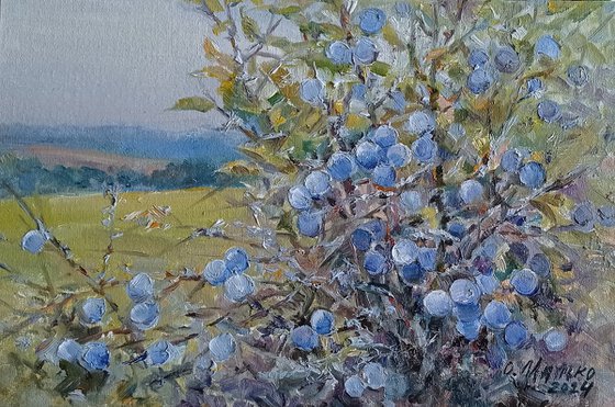 The Blackthorn Blue