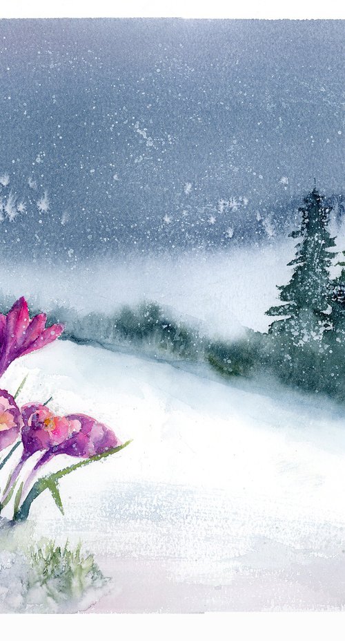 Crocuses in Snow #1 by Olga Tchefranov (Shefranov)