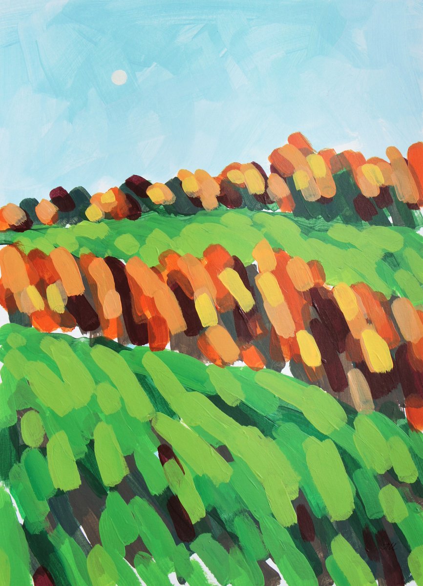 Autumn in Vermont by Irina Plaksina