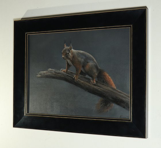 Red Squirrel Painting, Wildlife Artwork