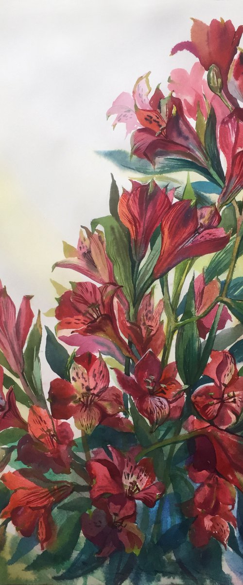 Alstroemeria flowers. Botanical painting. by Natalia Veyner