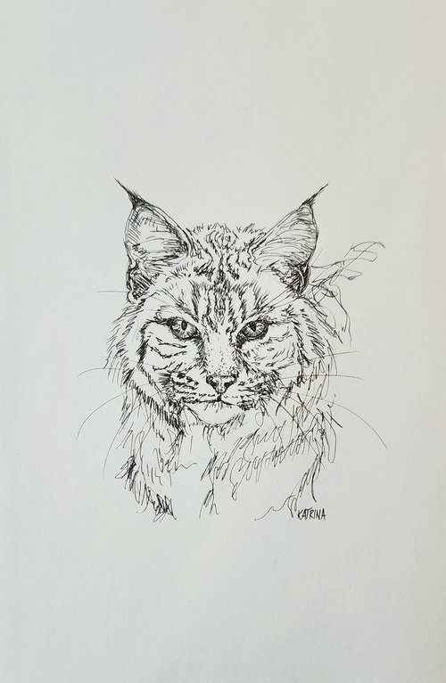 The Bobcat by Katrina Case