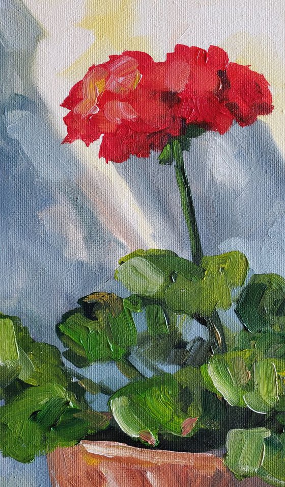Flower - "Red Geranium"