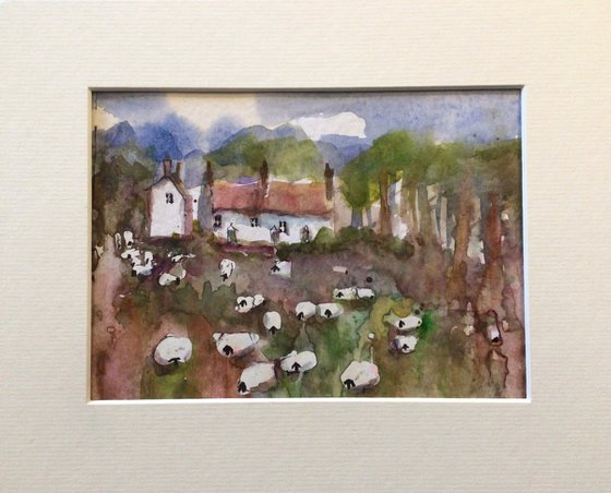 SHEEP IN THE GARDEN