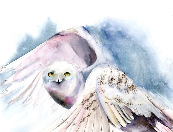 Flying Polar Owl