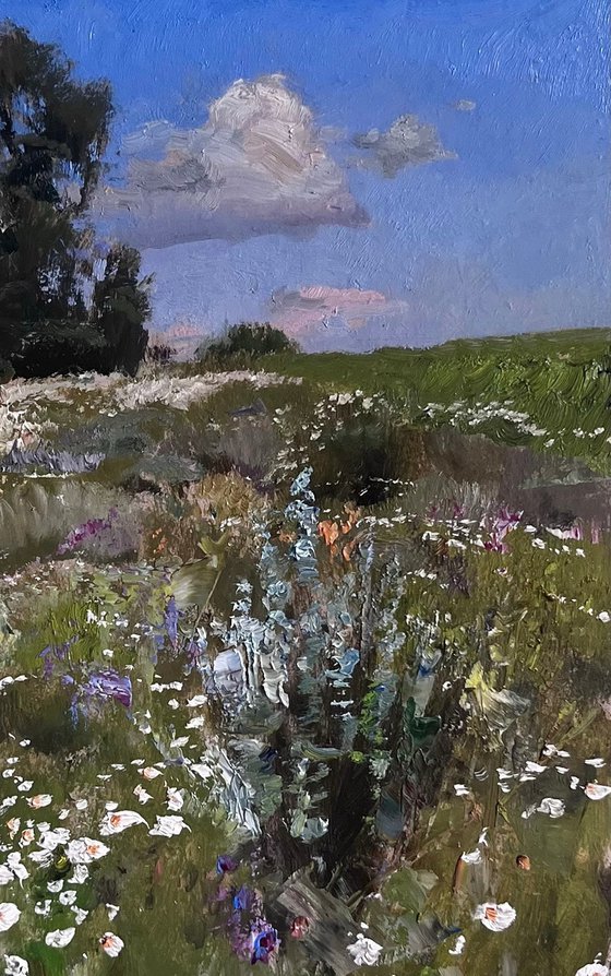 Chamomile