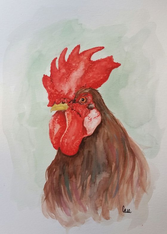 Red Rooster Roy
