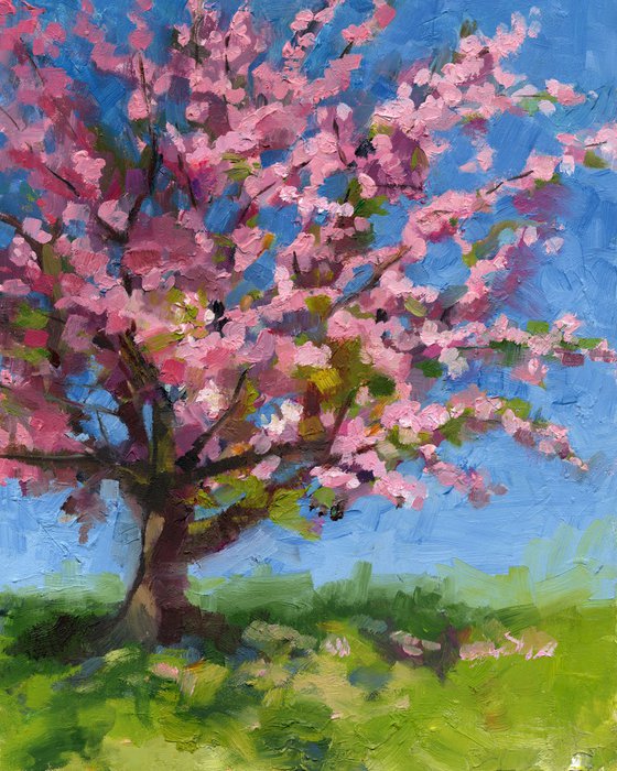 Pretty in Pink cherry tree plein air landscape oil painting