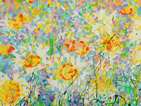 Wild Daisy Meadow 2025