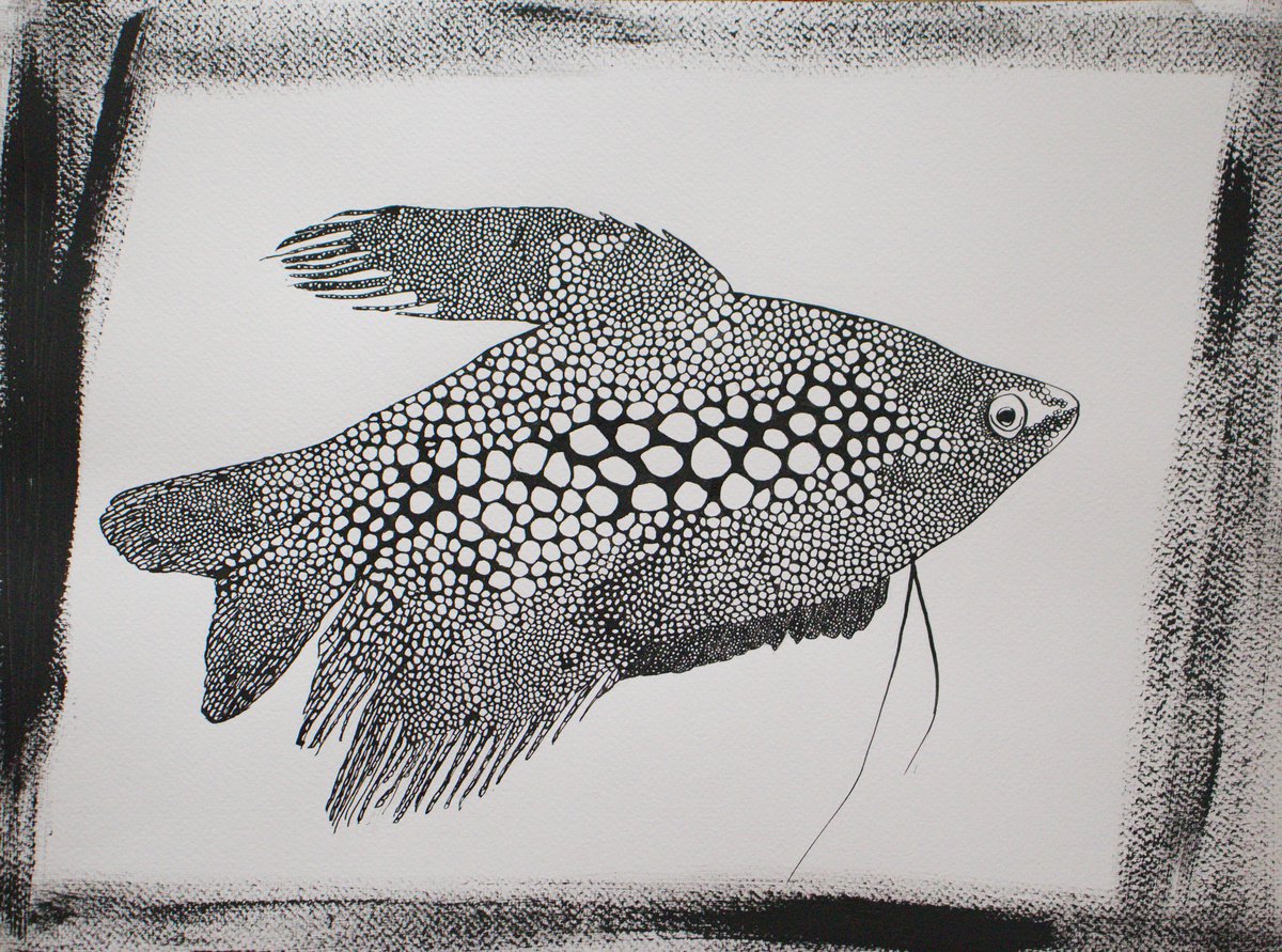Animal Ink Drawing By Evgeniq Ivanova, 20 X 14, Fish I, Original Artwork
