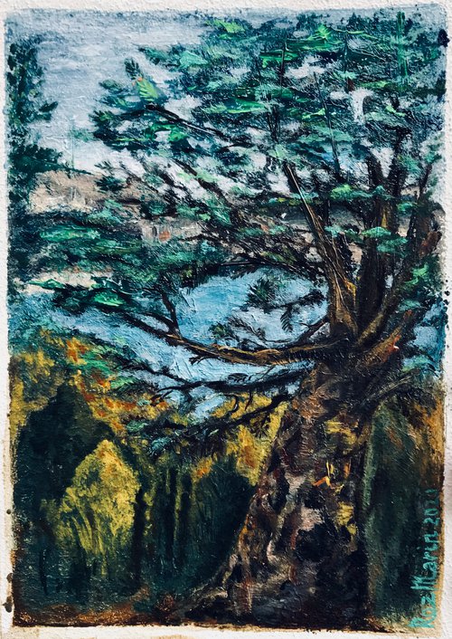 Old tree in the park ISTANBUL collection of miniatures by Marina Deryagina