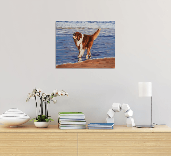 Dog at the sea 5