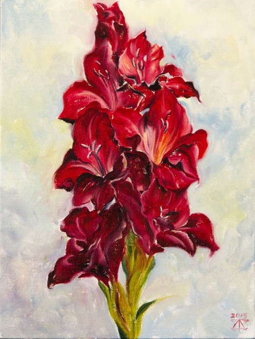 Red gladiolus by Daria Galinski