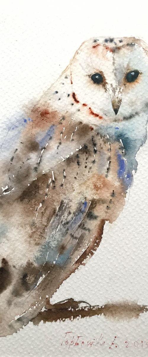 Owl on a branch - 19 x 28 cm by Eugenia Gorbacheva