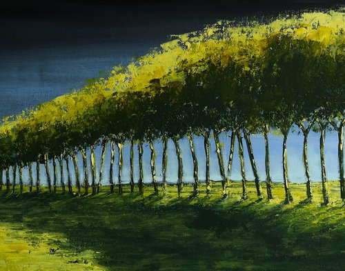 The line - Fields and Colors Series by Danijela Dan