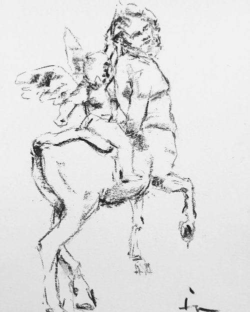 The Angel and the Centaur by Dominique Dève