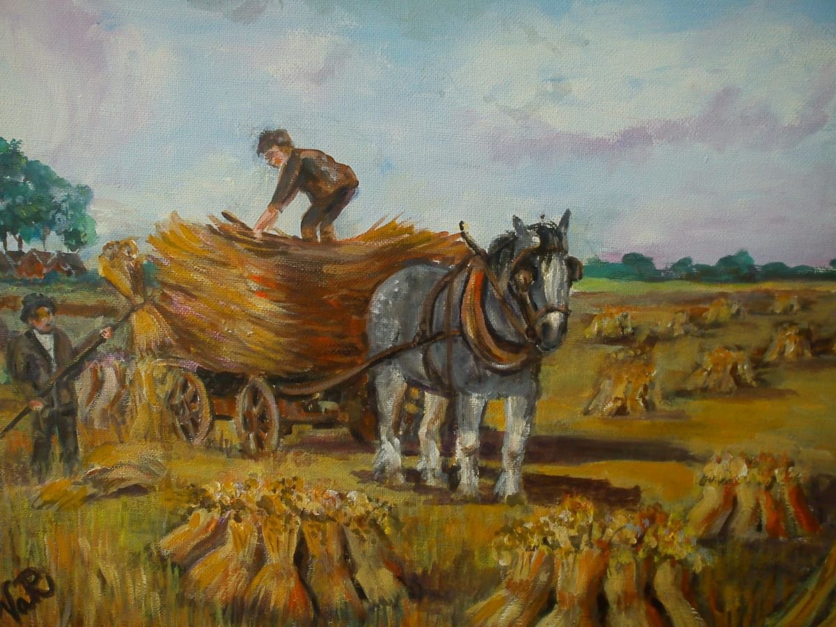 Harvest time. by Valerie Reffold