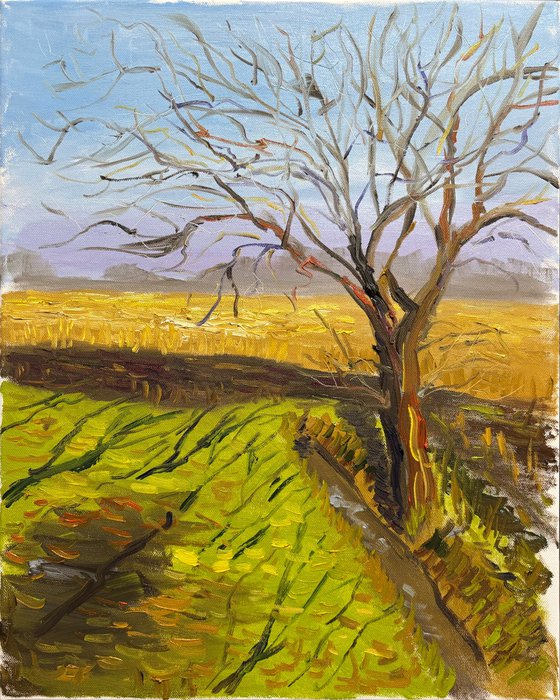 Lone Tree in a March Field