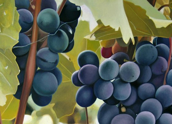 Grapes