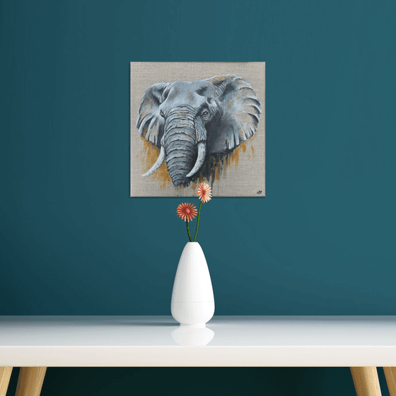 Elephant Grey #1