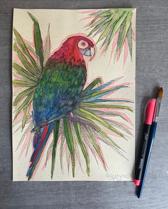 Colored parrot