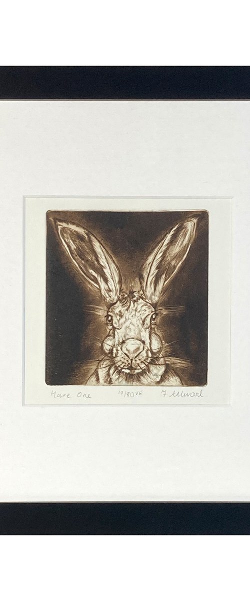 Hare One by Francis Allwood