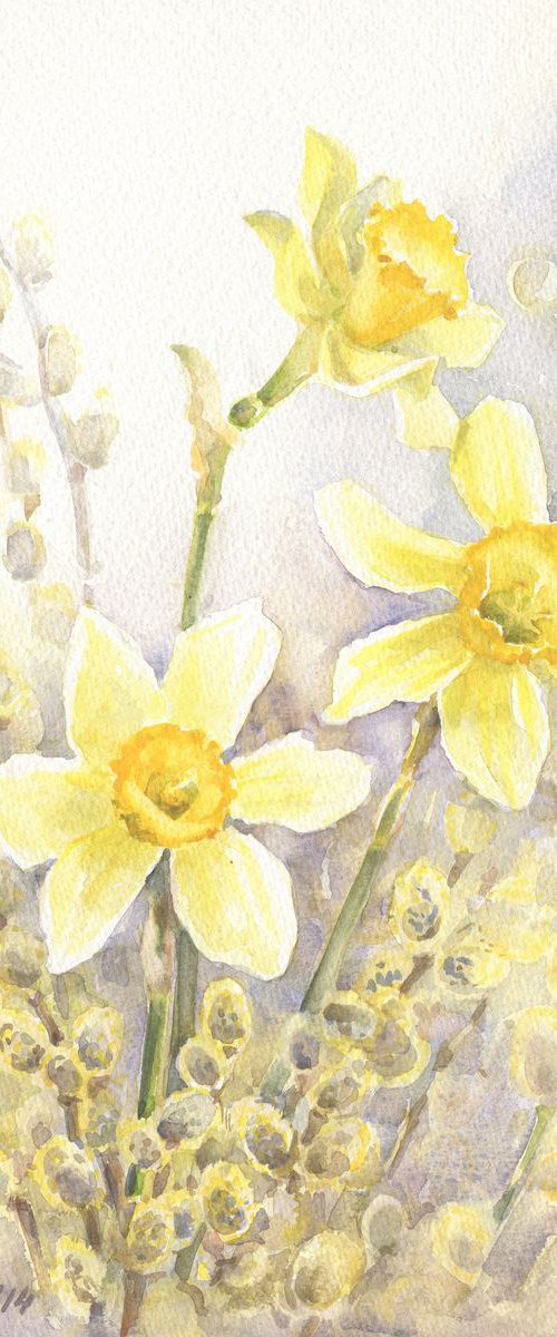 Spring mood. Daffodils and pussy willow / ORIGINAL watercolor 11x15in (28x38cm) by Olha Malko