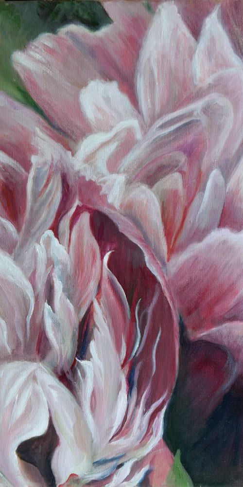 Petals of pink peonies by Katia Boitsova