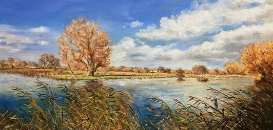 The Hampshire Avon