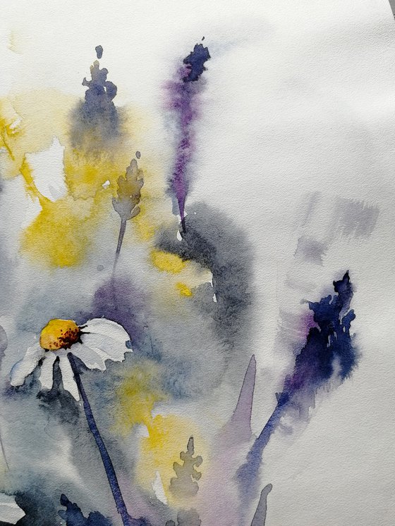 Daisy painting Wildflowers