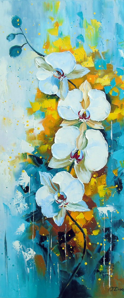 White orchid by Olha Darchuk