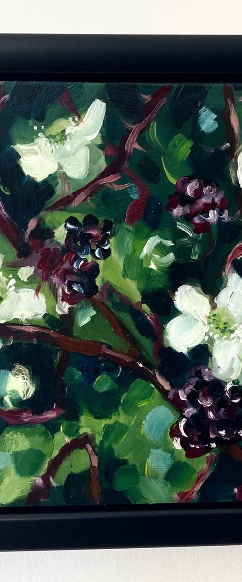 Blackberries by Sarah Bale