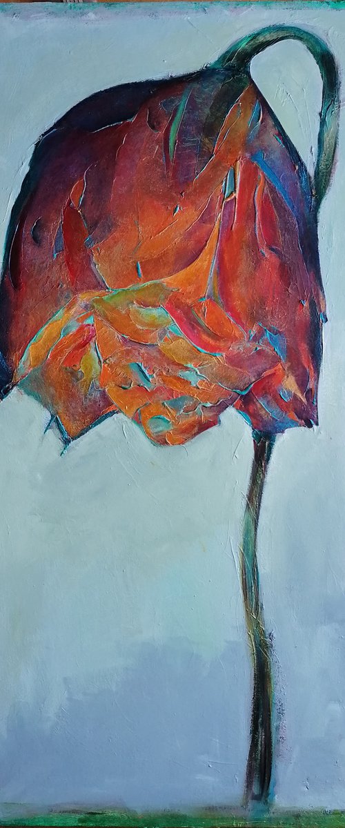 Red Golden Rose by Louisa Corr