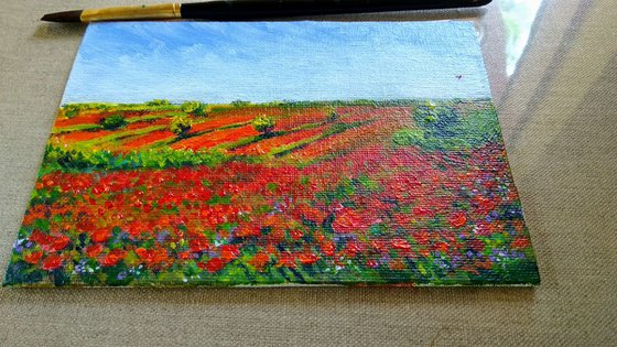 Miniature Poppy meadow landscape